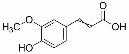 阿魏酸本身經陽光照射後其抗氧化能力會變得更強