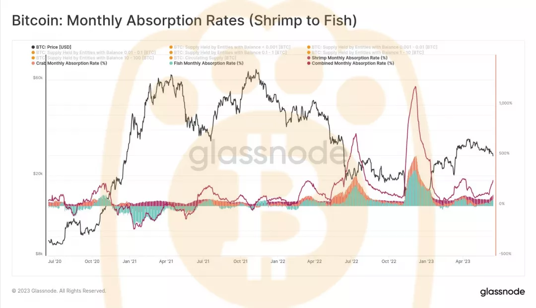 熊老爹 - 比特幣小蝦米到小魚的吸收率。資料來源：Glassnode